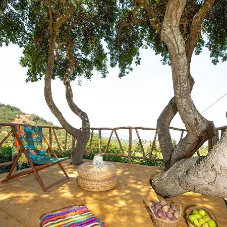 Wild Oak Estate - Stone With Sea Views , By Zantewize Willa *
